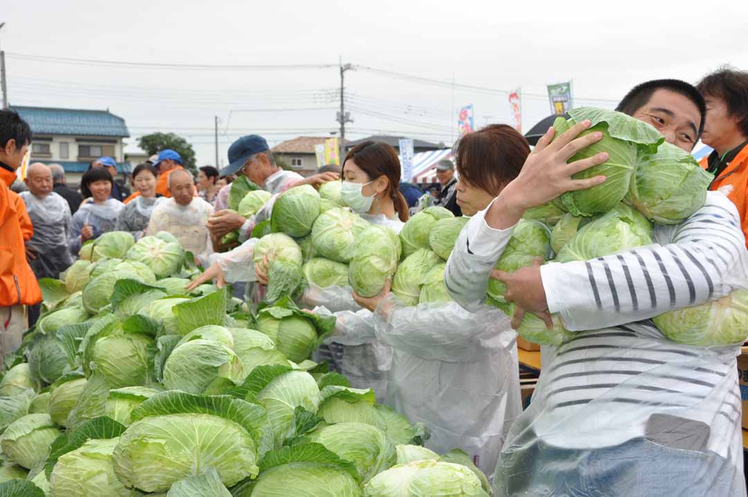 日本打工度假 農場工作