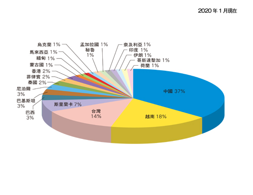 埼玉國際學院 人數比率